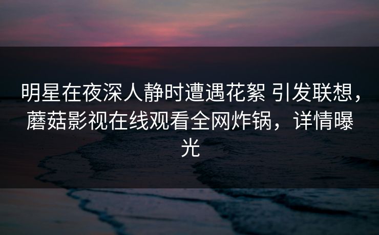 明星在夜深人静时遭遇花絮 引发联想,蘑菇影视在线观看全网炸锅,详情曝光