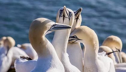 51爆料盘点：秘闻5大爆点，大V上榜理由疯狂令人勾魂摄魄