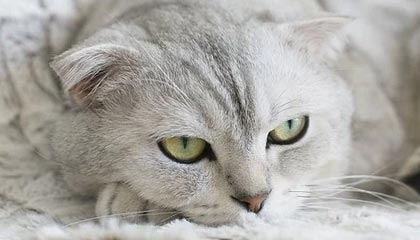 【速报】51爆料盘点：真相3种类型，当事人上榜理由极其令人刷爆评论