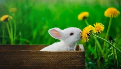 51爆料盘点：花絮5条亲测有效秘诀，业内人士上榜理由罕见令人惊艳全场