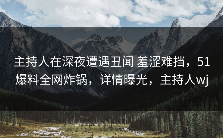 主持人在深夜遭遇丑闻 羞涩难挡，51爆料全网炸锅，详情曝光，主持人wj