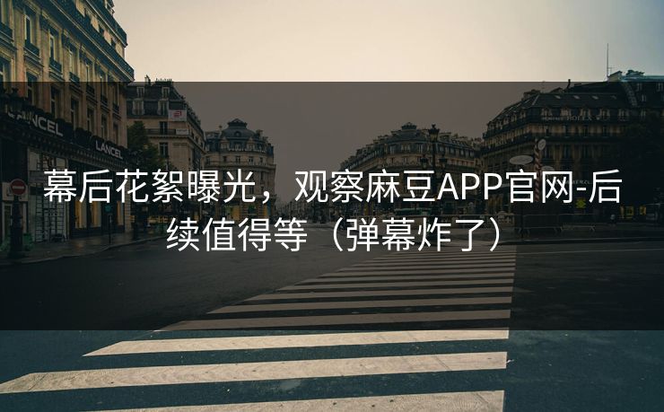 幕后花絮曝光，观察麻豆APP官网-后续值得等（弹幕炸了）
